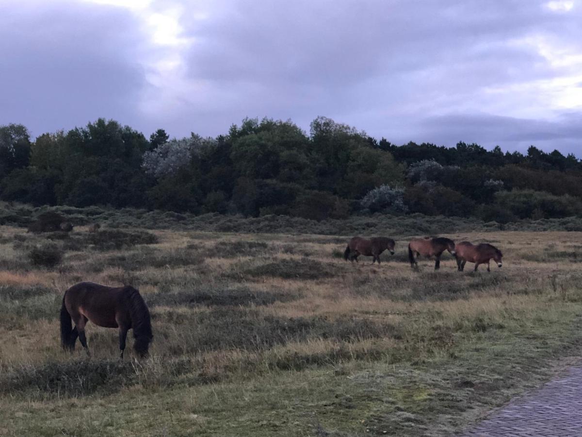 Familiehuis Achter De Duijnhoeve Zuidbakkum Esterno foto