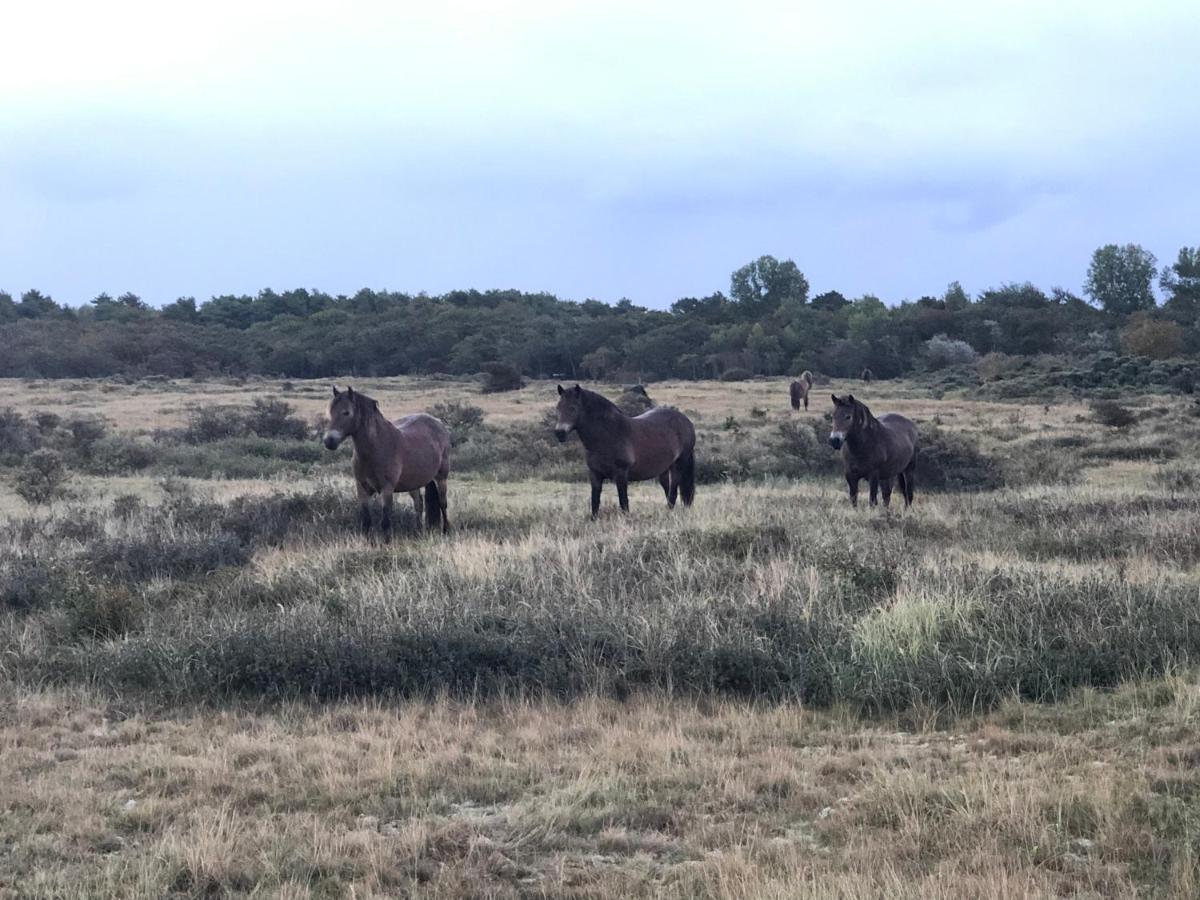 Familiehuis Achter De Duijnhoeve Zuidbakkum Esterno foto